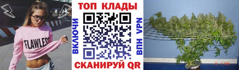 Магазин наркотиков Киров ГАШИШ  Галлюциногенные грибы  APVP  Меф мяу мяу  COCAIN  Канабис 
