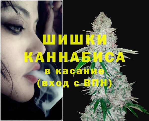 соль ск Нея