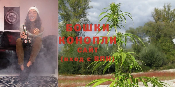 соль ск Нея