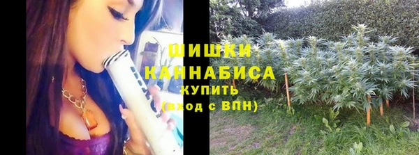 соль ск Нея