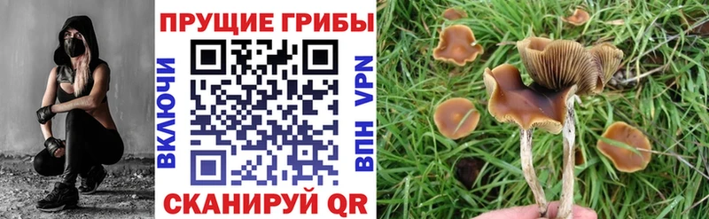 Псилоцибиновые грибы MAGIC MUSHROOMS  Киров 