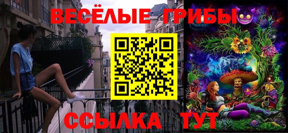 Киров  Галлюциногенные грибы GOLDEN TEACHER  купить  сайты  Галлюциногенные грибы мухоморы  Вход с VPN 
