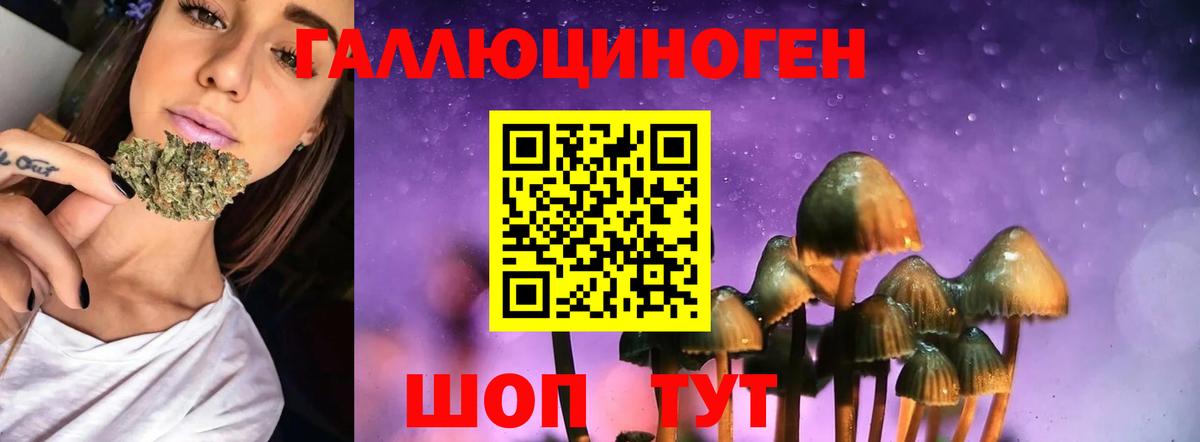 Псилоцибиновые грибы Cubensis Киров