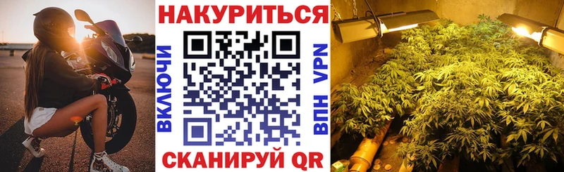 купить   Киров  Марихуана VHQ 