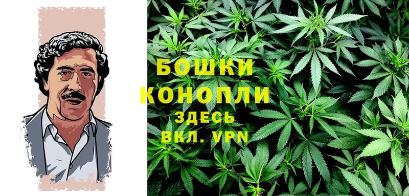 Конопля индика  Киров 